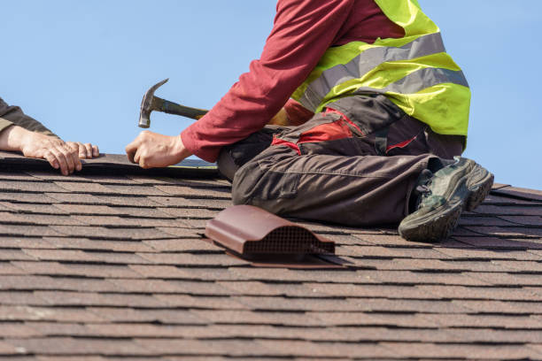 Best Roof Waterproofing Services  in De Soto, IA
