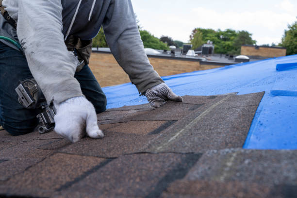 Best Roof Leak Repair  in De Soto, IA