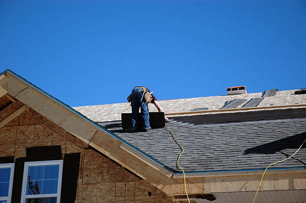 Best Storm Damage Roof Repair  in De Soto, IA