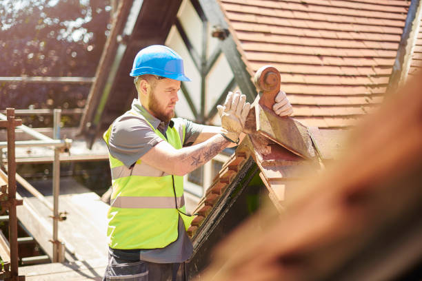 Best Roof Gutter Cleaning  in De Soto, IA