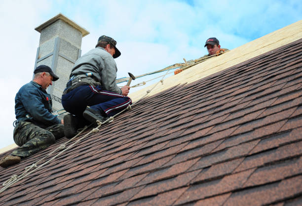 Best Roof Gutter Cleaning  in De Soto, IA