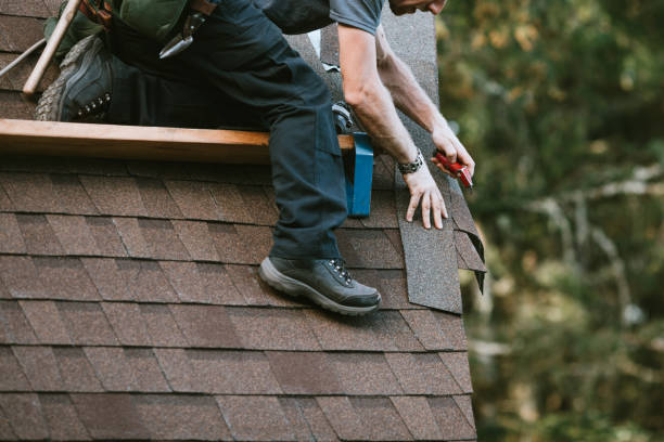 Best Flat Roof Repair Services  in De Soto, IA