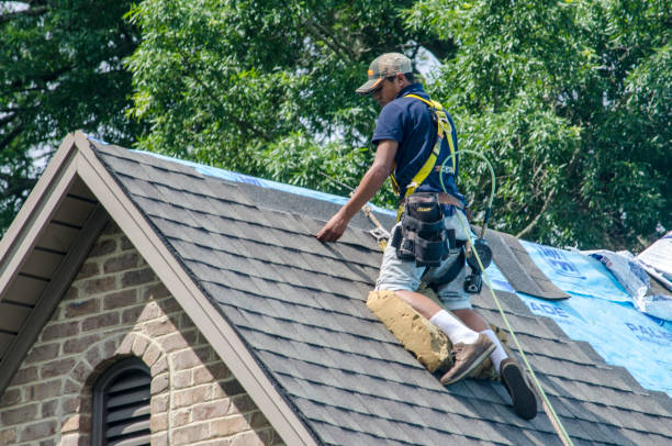 Best Shingle Roofing Installation  in De Soto, IA